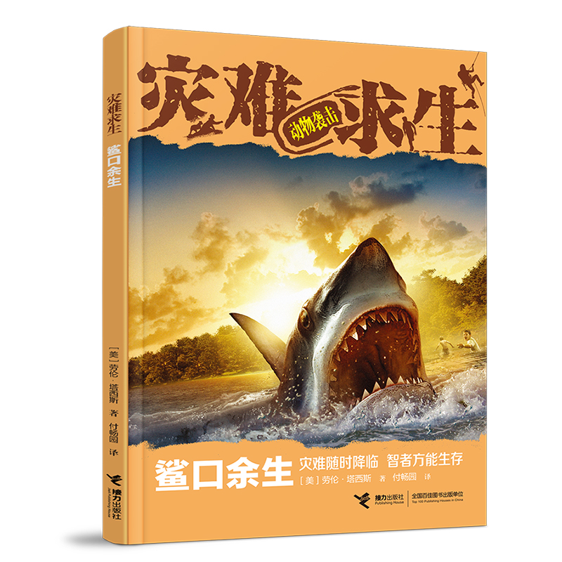 ��(z��i)�y����ϵ�У���������