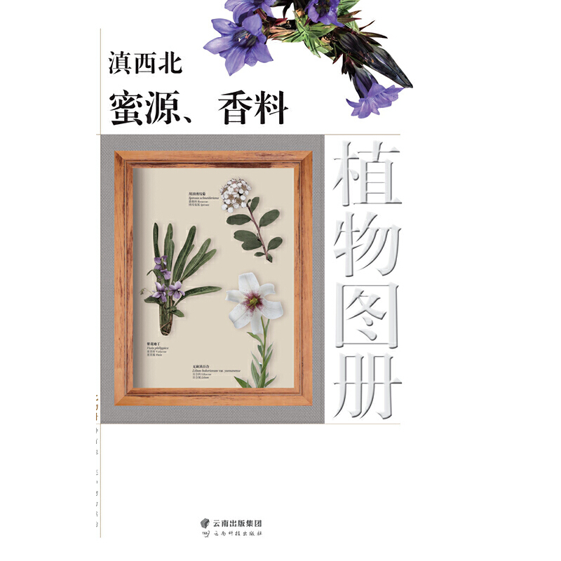 ��������Դ������ֲ��D��