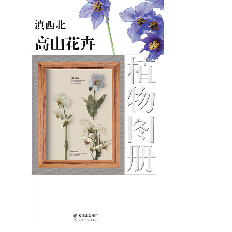 ��������ɽ����ֲ��D��(c��)