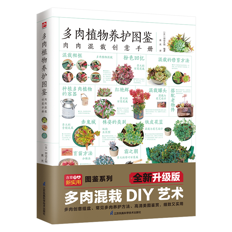 ����ֲ���B(y��ng)�o(h��)�D�b