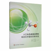 �˹���ϳ��坍ȼ�ϾC�ϻ��W(xu��)̓�M���挍(sh��)�(y��n)