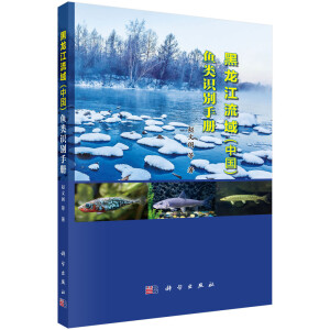 �����������Ї����~��R�e�փ�