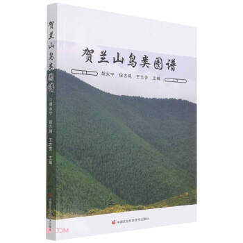 �R�mɽ�BD�V