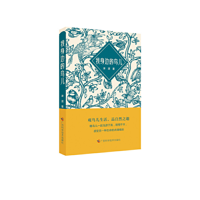 ����߅���B��