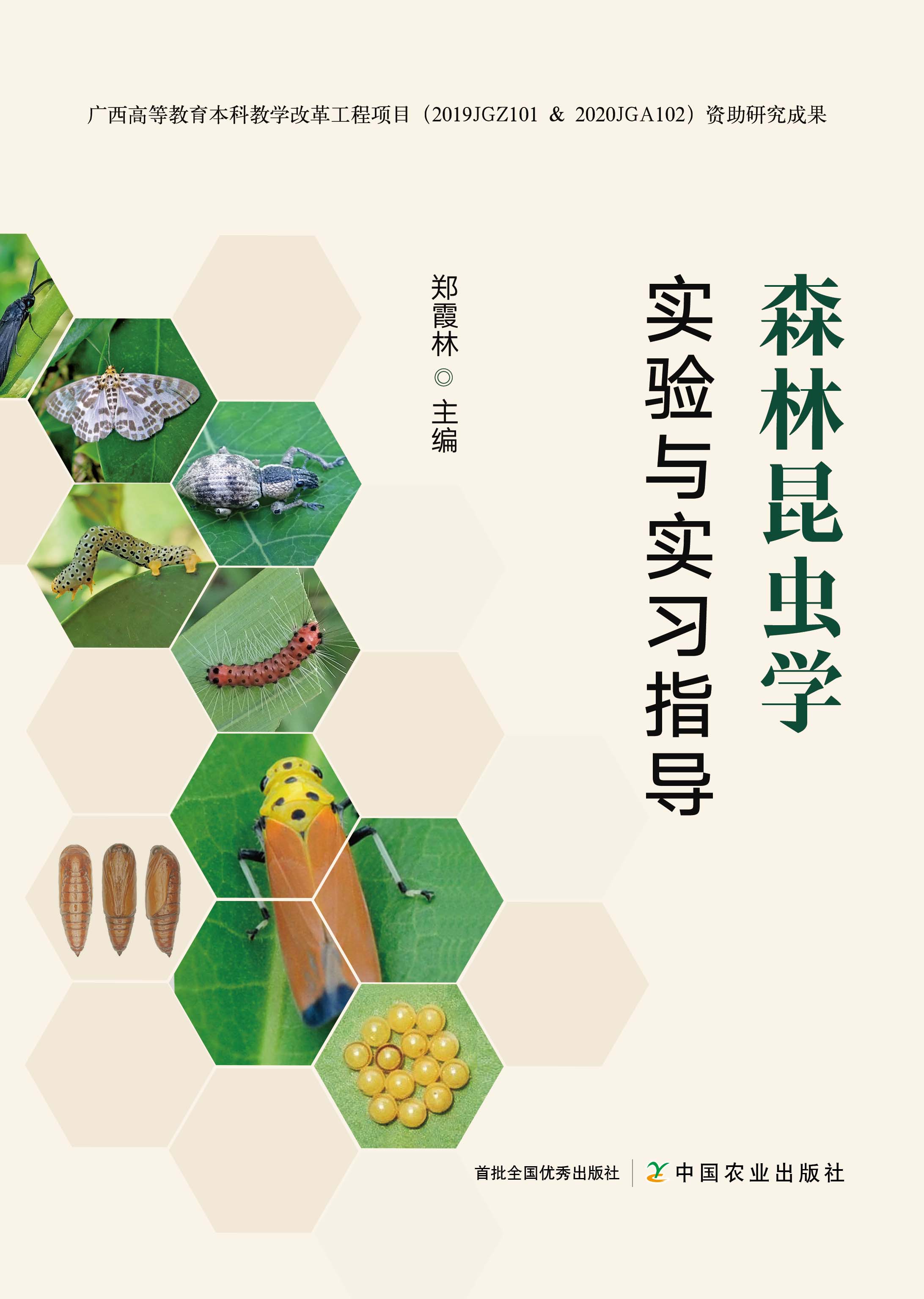 ɭ�����x�W(xu��)��(sh��)�(y��n)�c��(sh��)��(x��)ָ��(d��o)