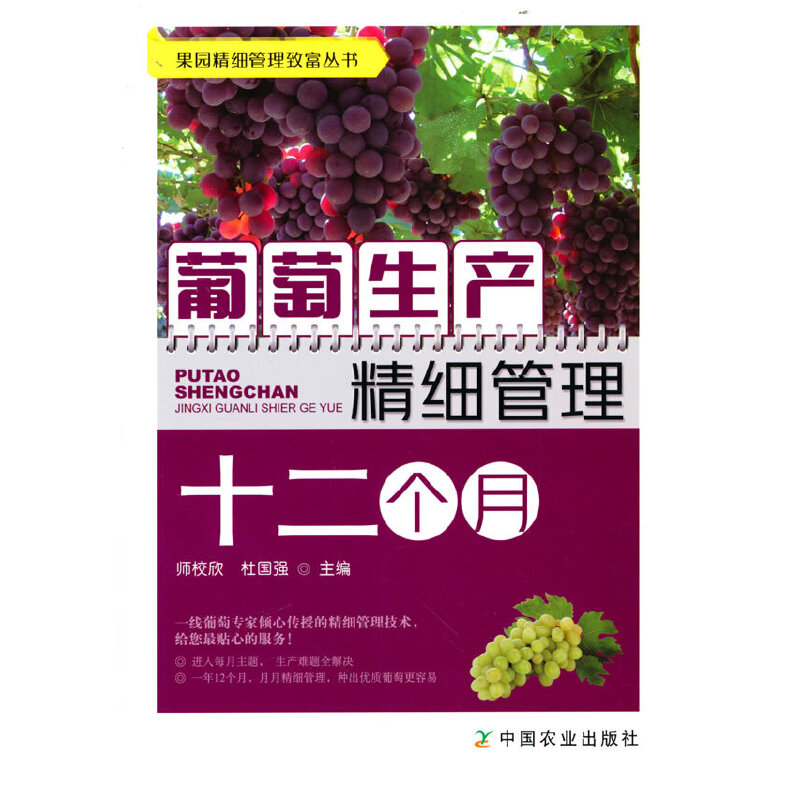 �������a(ch��n)����(x��)����ʮ������