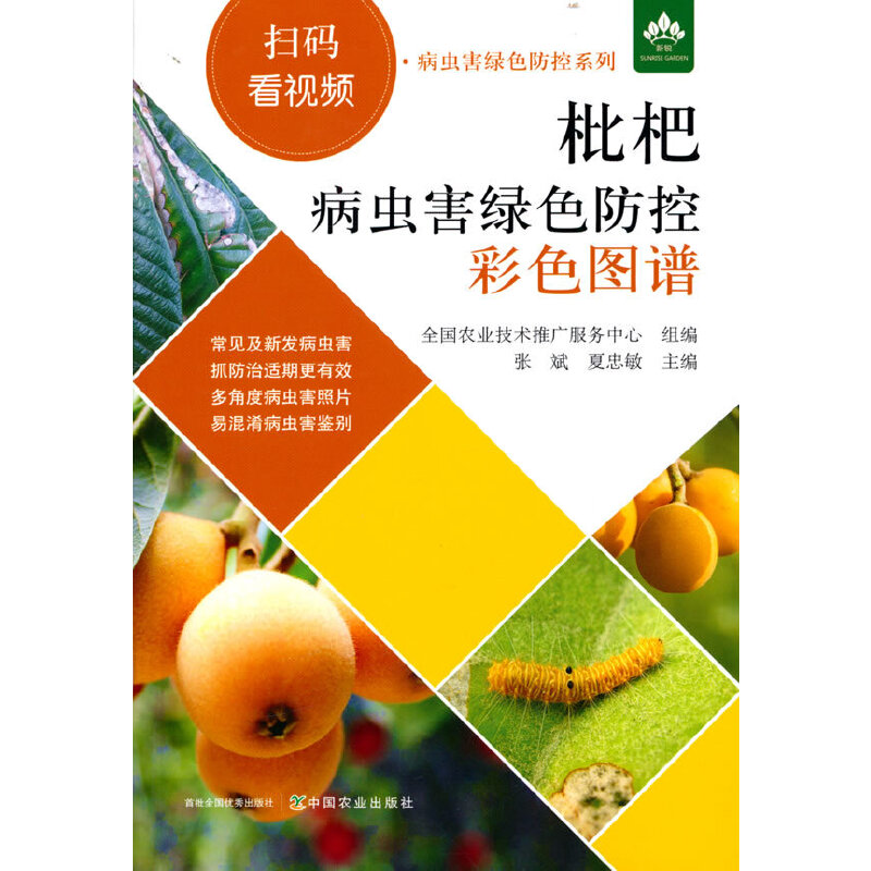 ���˲��x���Gɫ���ز�ɫ�D�V���ߴa��ҕ�l�����x���Gɫ����ϵ�У�