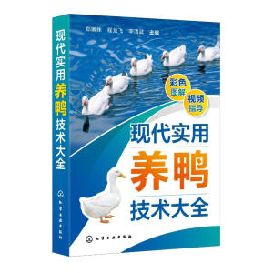 �F(xi��n)����(sh��)���B(y��ng)�����g(sh��)��ȫ