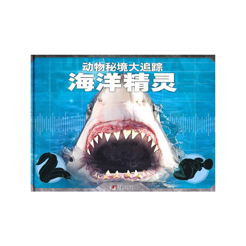 �����`�������ؾ���׷ۙ��