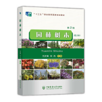 �@�֘�ľ��������������2�棩