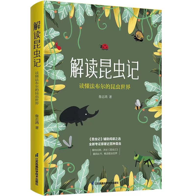 ���x���xӛ���x�������������x����