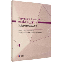 �׺η����C��2020��Ӣ�İ棩