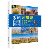 ��������ϡ�lΣҰ����(d��ng)ֲ��