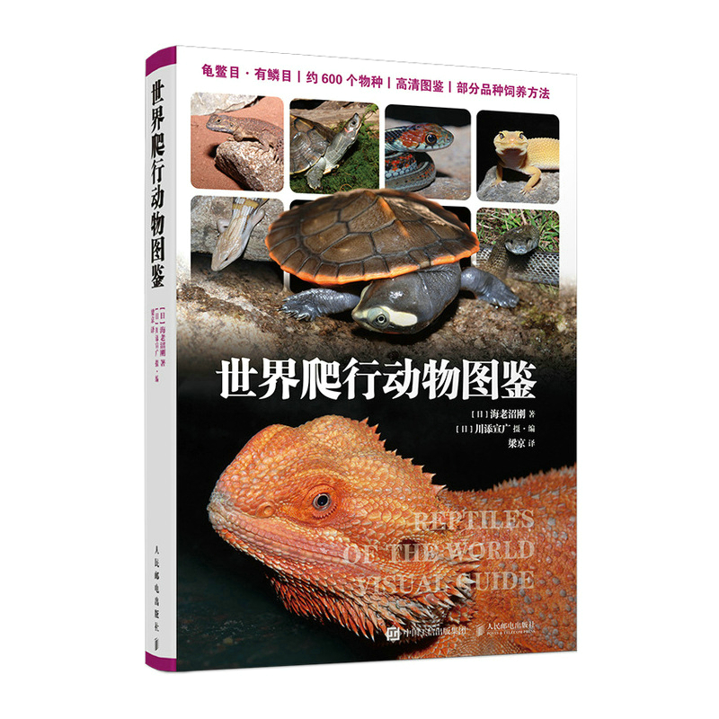 �������Є�(d��ng)��D�b