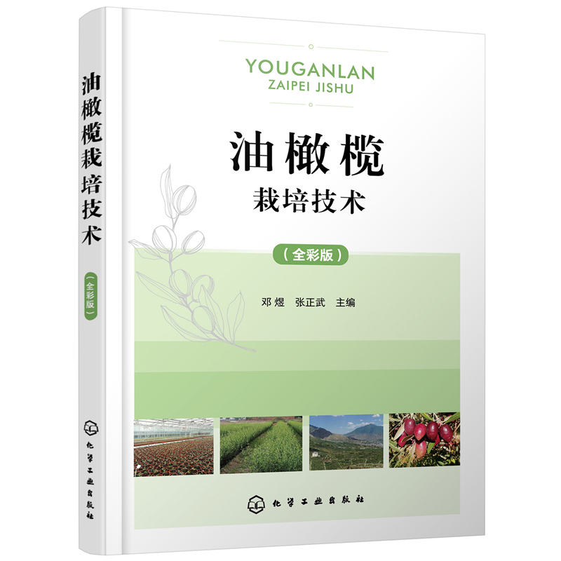 ���ϙ����༼�g(sh��)��ȫ�ʰ棩