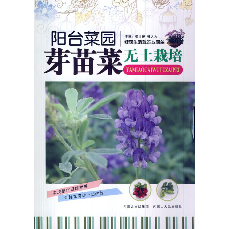 ��_�ˈ@--ѿ��˟o������