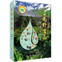 ����Ұ����