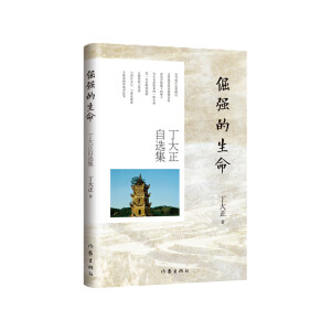 �󏊵����������������x��