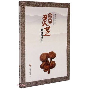 �F���`֥�����c�ӹ�