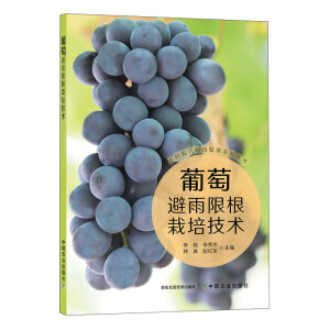 ���ѱ����޸����༼�g(sh��)