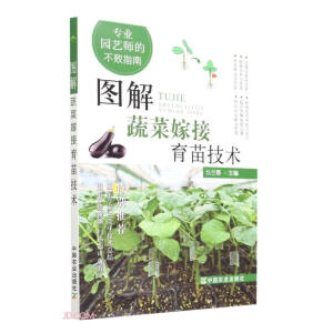 �D���߲˼޽����缼�g