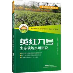 Ӣ�t��̖���B(t��i)�������ÈD�f