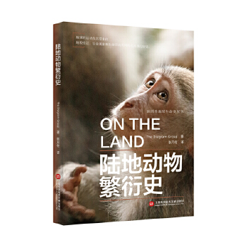 ��D����������ʷ������ꑵ؄�(d��ng)�ﷱ��ʷ