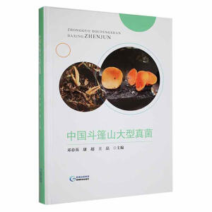 �Ї�����ɽ�������