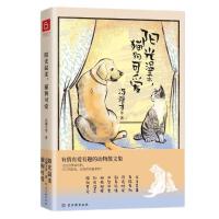 �(y��ng)����ᣬ؈���ɐ�(��i)