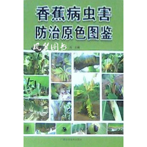 �㽶���x������ԭɫ�D�b