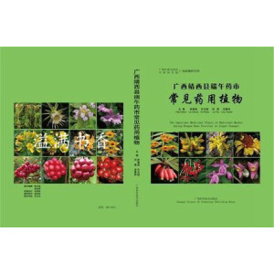 �V�������h����ˎ�г�Ҋˎ��ֲ��