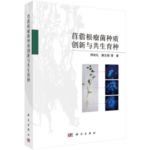 ��ޣ�������N�|(zh��)��(chu��ng)���c�������N