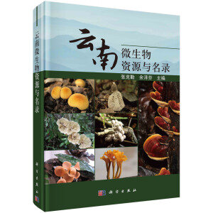 ����΢�����YԴ�c���