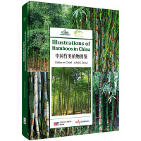 �Ї�(gu��)���ֲ��D�b��Ӣ�İ棩