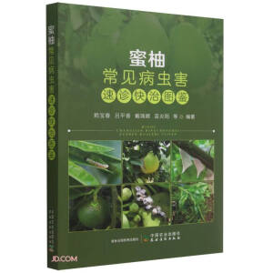 ���ֳ�Ҋ(ji��n)���x(ch��ng)�����\���ΈD�b