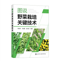 �D�fҰ�������P(gu��n)�I���g(sh��)