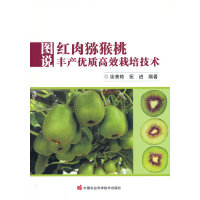 �D�f�t��J�����S�a��(y��u)�|��Ч���༼�g