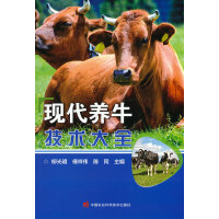 �F(xi��n)���B(y��ng)ţ���g(sh��)��ȫ