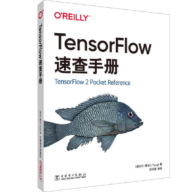 O'Reilly: TensorFlow�ٲ��փ�(c��)