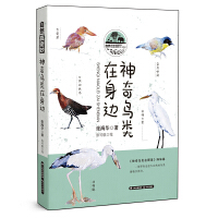 �����B�����߅