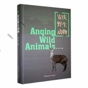 ���cҰ������