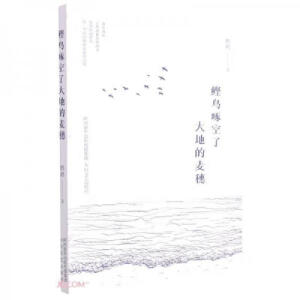 ���B�Ŀ��˴�ص�����