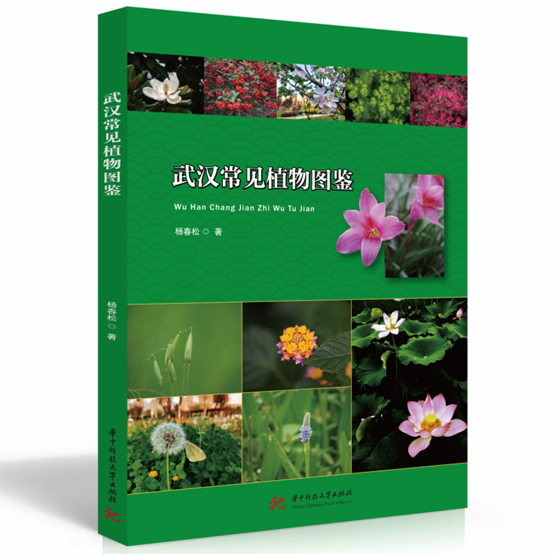 ��h��Ҋֲ��D�b