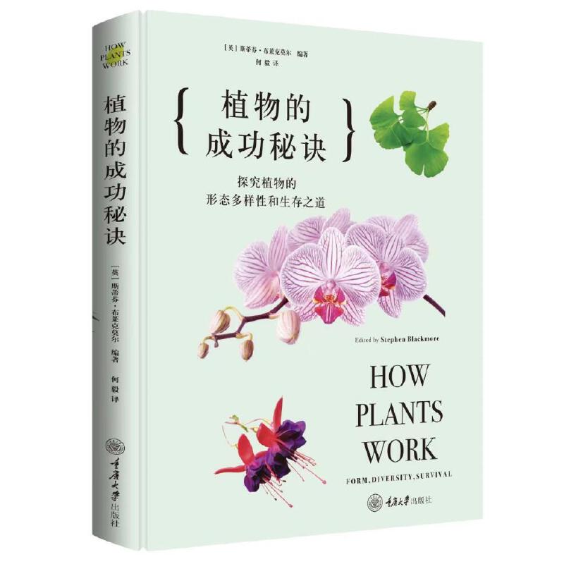 ֲ��ĳɹ����E��̽��ֲ����ΑB(t��i)�����Ժ�����֮�� ����Wِ�^�х���