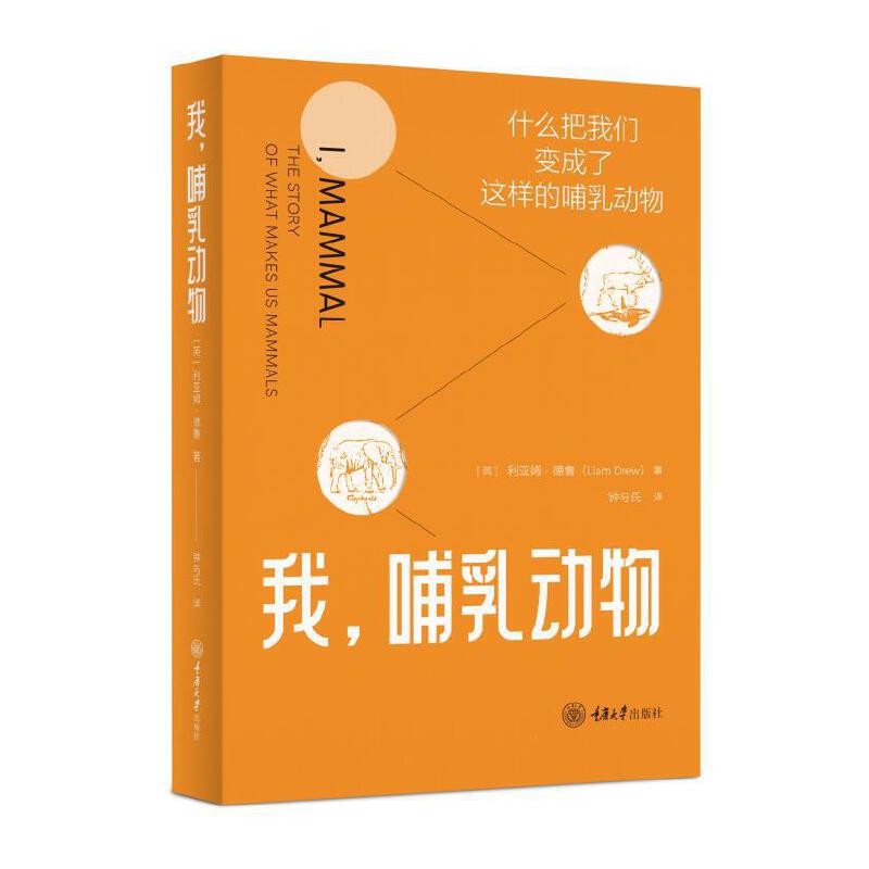 �����������