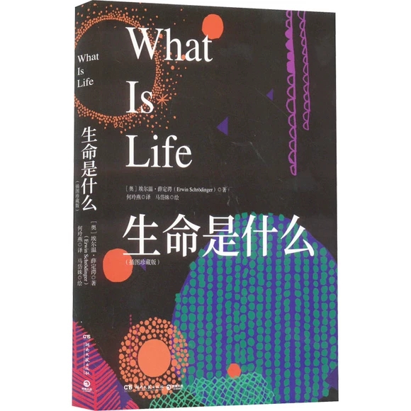 ������ʲô