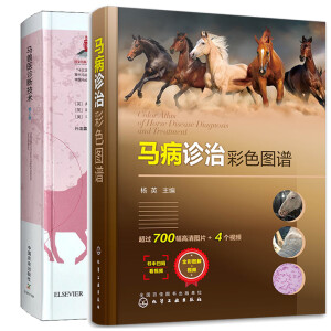 �R���\�β�ɫ�D�V