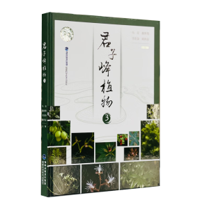 ���ӷ�ֲ��