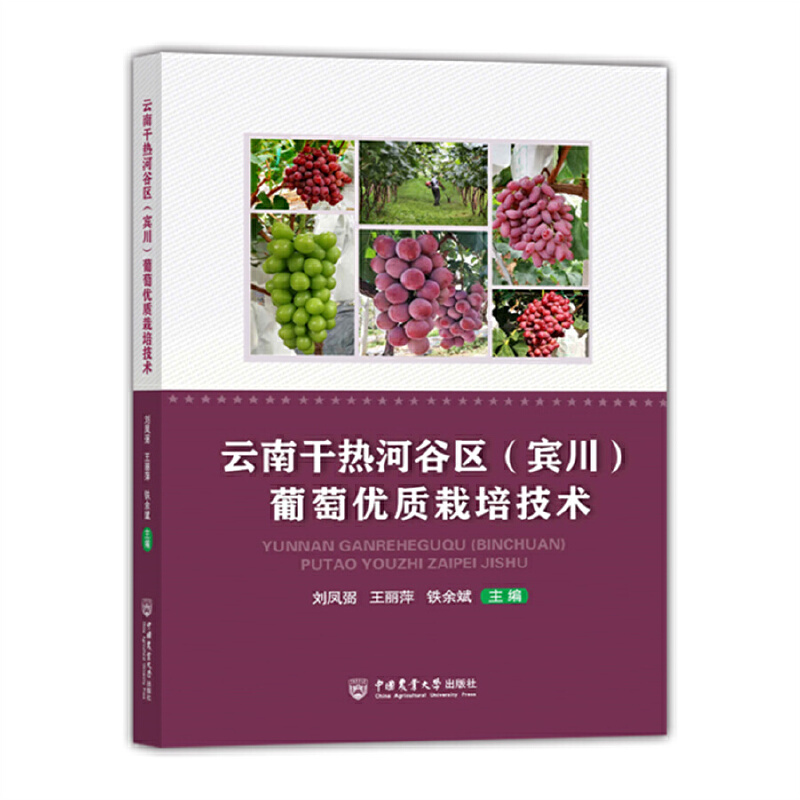 ���ϸɟ�ӹȅ^(q��)(�e��) ���у�(y��u)�|(zh��)���༼�g(sh��)