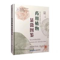 ˎ��ֲ���@΢�D�b